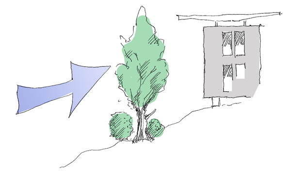 Windbreak provided by natural tree and bush growth (source: Stefan Prokupek, GrAT)