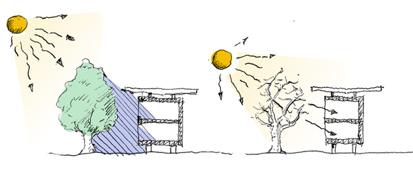 A sinistra: ombra fornita da un albero caducifoglie in estate; a destra: sfruttare il sole basso in inverno per scaldare gli interni, poiché l’albero non ha foglie (fonte: Stefan Prokupek, GrAT)